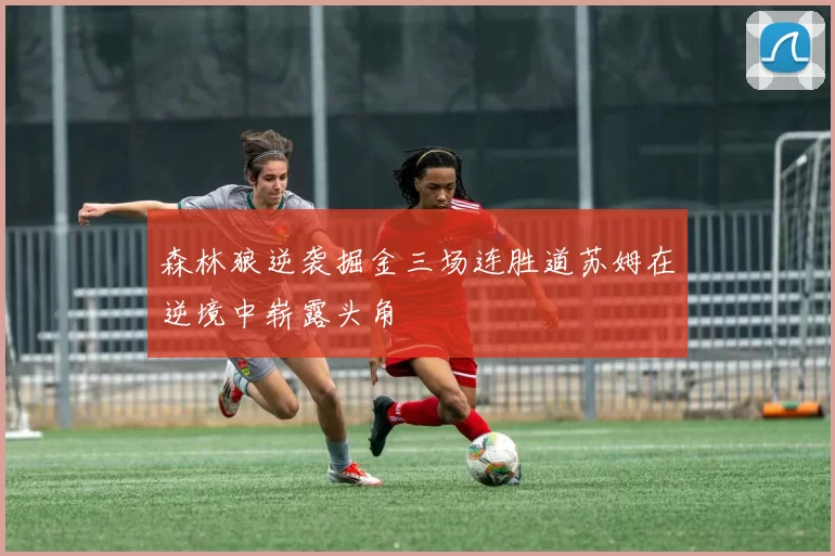 森林狼逆袭掘金三场连胜道苏姆在逆境中崭露头角